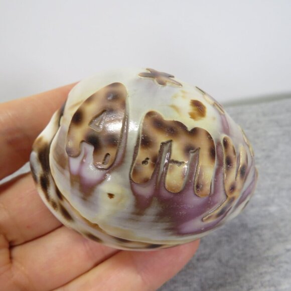 REAL Sea Shell Hand-Carved “Amy” Cowrie Shell Hawaiian - Picture 7 of 10